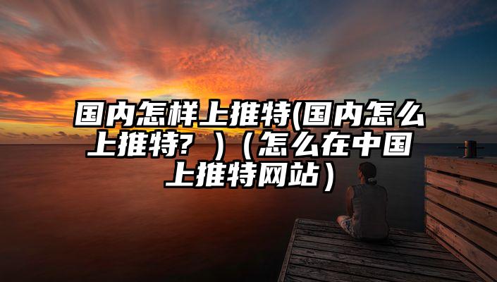 国内怎样上推特(国内怎么上推特? )（怎么在中国上推特网站）