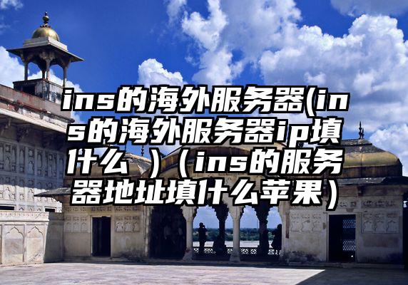 ins的海外服务器(ins的海外服务器ip填什么 )（ins的服务器地址填什么苹果）
