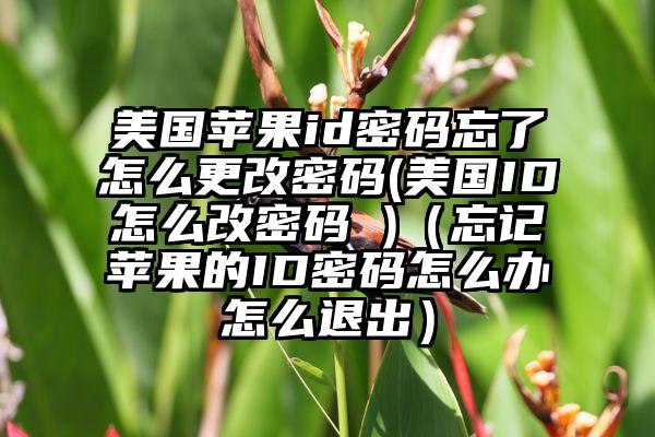 美国苹果id密码忘了怎么更改密码(美国ID怎么改密码 )（忘记苹果的ID密码怎么办怎么退出）