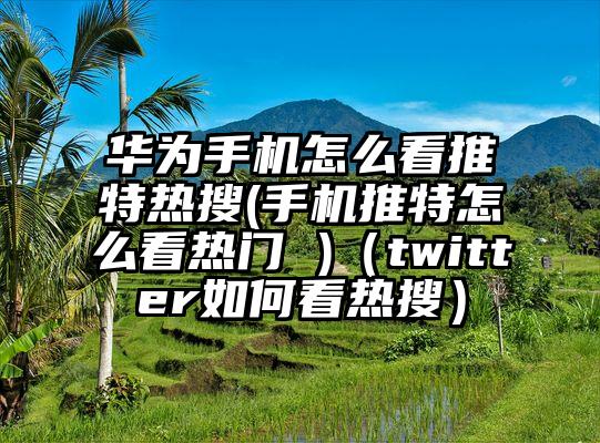 华为手机怎么看推特热搜(手机推特怎么看热门 )（twitter如何看热搜）
