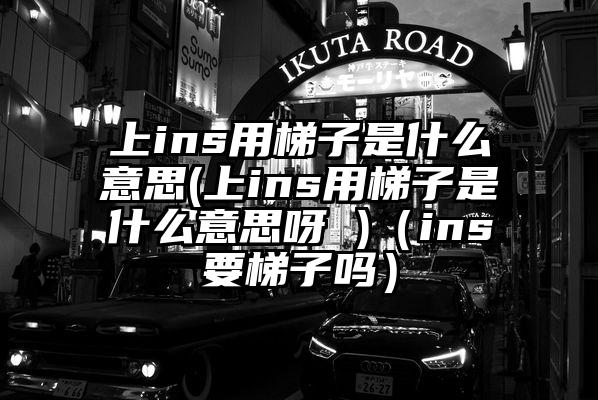 上ins用梯子是什么意思(上ins用梯子是什么意思呀 )（ins要梯子吗）