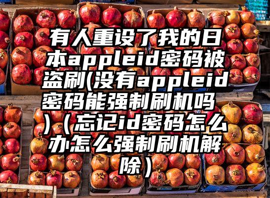 有人重设了我的日本appleid密码被盗刷(没有appleid密码能强制刷机吗 )（忘记id密码怎么办怎么强制刷机解除）