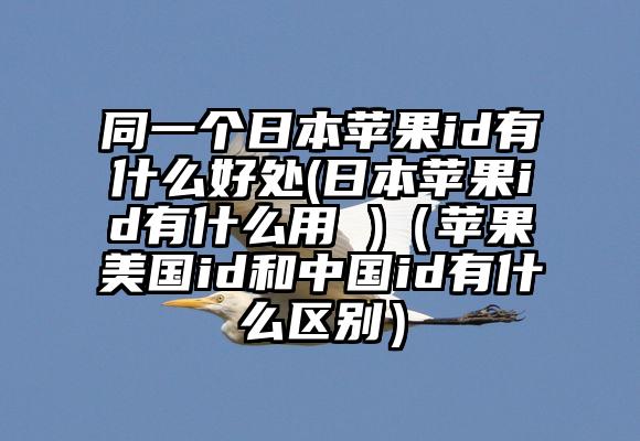 同一个日本苹果id有什么好处(日本苹果id有什么用 )（苹果美国id和中国id有什么区别）