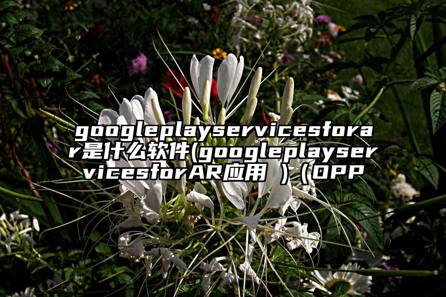googleplayservicesforar是什么软件(googleplayservicesforAR应用 )（OPP