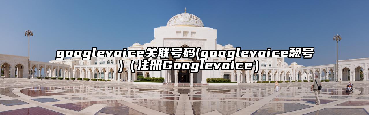 googlevoice关联号码(googlevoice靓号 )（注册Googlevoice）