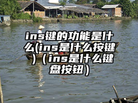 ins键的功能是什么(ins是什么按键 )（ins是什么键盘按钮）