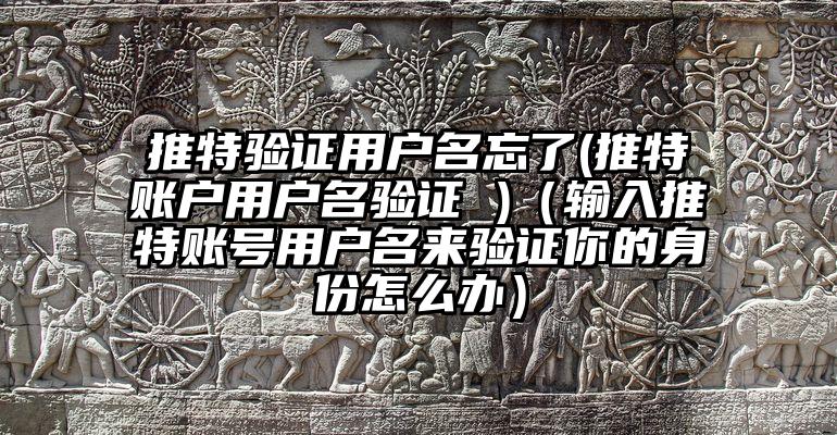 推特验证用户名忘了(推特账户用户名验证 )（输入推特账号用户名来验证你的身份怎么办）