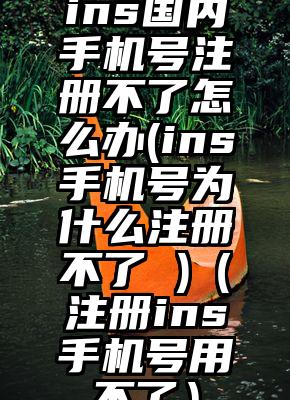ins国内手机号注册不了怎么办(ins手机号为什么注册不了 )(注册ins手机号用不了)
