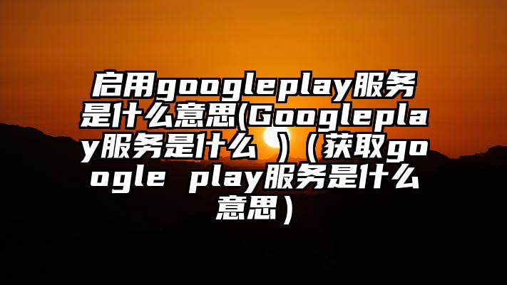 启用googleplay服务是什么意思(Googleplay服务是什么 )（获取google play服务是什么意思）
