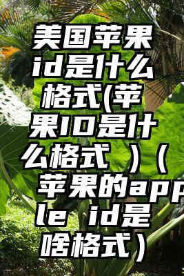 美国苹果id是什么格式(苹果ID是什么格式 )（苹果的apple id是啥格式）