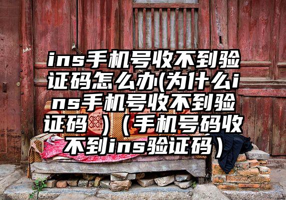 ins手机号收不到验证码怎么办(为什么ins手机号收不到验证码 )（手机号码收不到ins验证码）