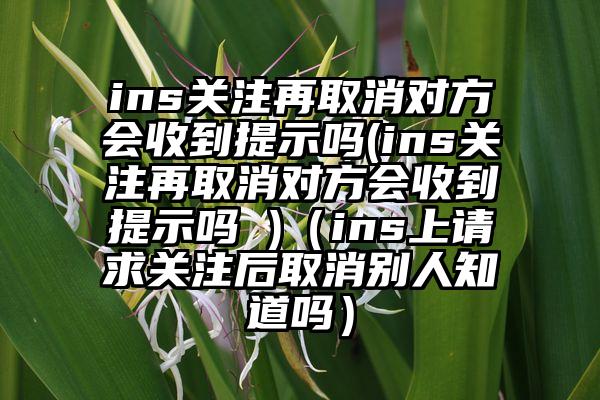 ins关注再取消对方会收到提示吗(ins关注再取消对方会收到提示吗 )（ins上请求关注后取消别人知道吗）