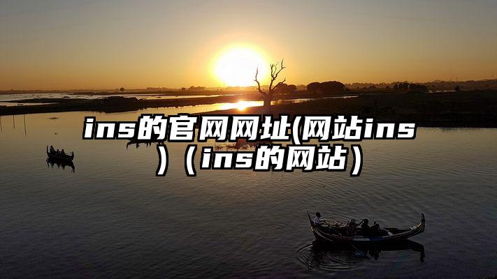 ins的官网网址(网站ins )（ins的网站）