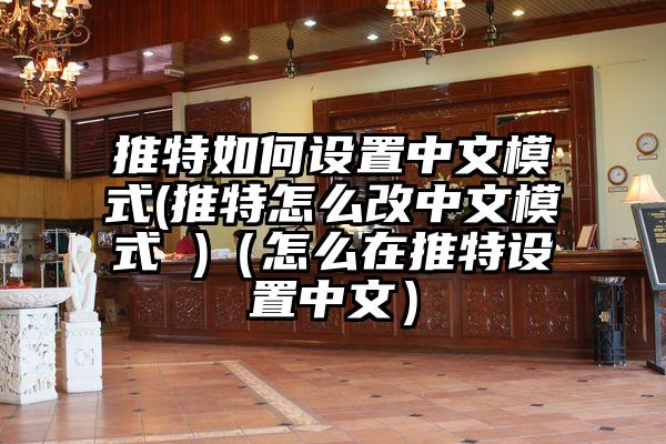 推特如何设置中文模式(推特怎么改中文模式 )(怎么在推特设置中文)
