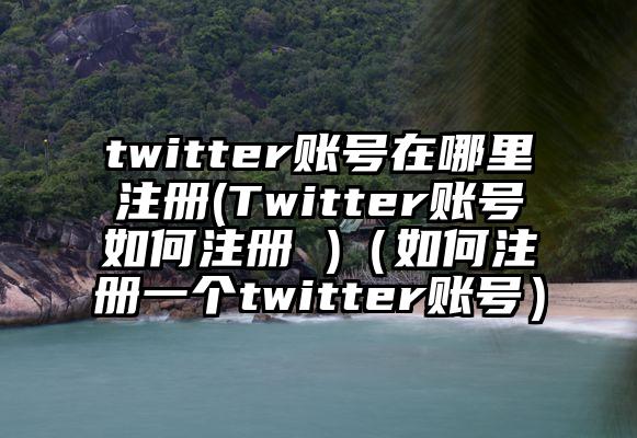 twitter账号在哪里注册(Twitter账号如何注册 )（如何注册一个twitter账号）