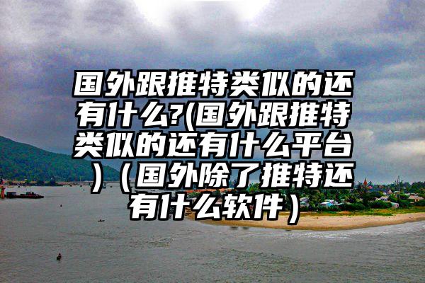 国外跟推特类似的还有什么?(国外跟推特类似的还有什么平台 )（国外除了推特还有什么软件）
