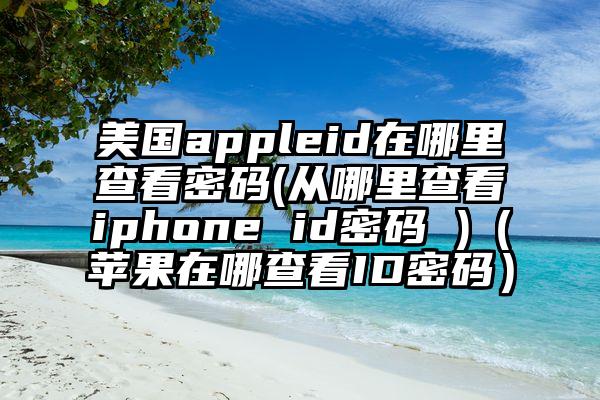 美国appleid在哪里查看密码(从哪里查看iphone id密码 )（苹果在哪查看ID密码）