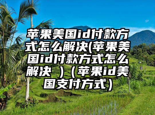 苹果美国id付款方式怎么解决(苹果美国id付款方式怎么解决 )（苹果id美国支付方式）