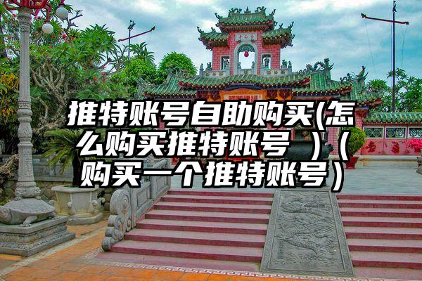 推特账号自助购买(怎么购买推特账号 )（购买一个推特账号）