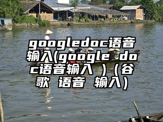 googledoc语音输入(google doc语音输入 )（谷歌 语音 输入）