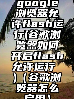 google浏览器允许flash运行(谷歌浏览器如何开启flash允许运行 )（谷歌浏览器怎么启用）