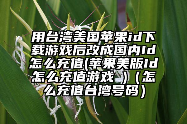 用台湾美国苹果id下载游戏后改成国内Id怎么充值(苹果美版id怎么充值游戏 )（怎么充值台湾号码）
