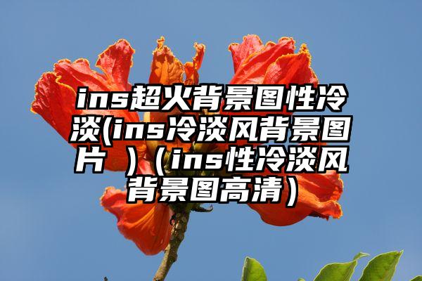 ins超火背景图性冷淡(ins冷淡风背景图片 )（ins性冷淡风背景图高清）