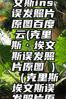 克里斯埃文斯ins误发照片原图百度云(克里斯·埃文斯误发照片原图 )（克里斯埃文斯误发照片原图资源）
