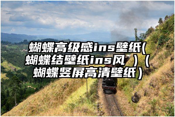 蝴蝶高级感ins壁纸(蝴蝶结壁纸ins风 )（蝴蝶竖屏高清壁纸）