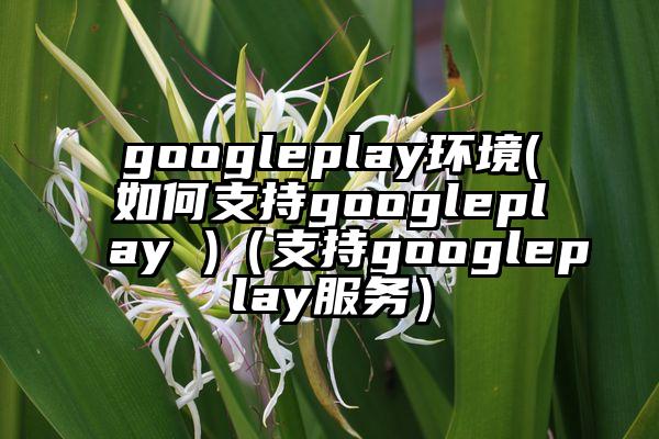 googleplay环境(如何支持googleplay )（支持googleplay服务）