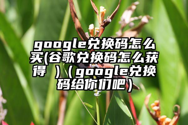 google兑换码怎么买(谷歌兑换码怎么获得 )（google兑换码给你们吧）