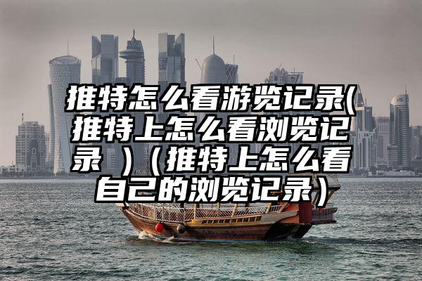 推特怎么看游览记录(推特上怎么看浏览记录 )（推特上怎么看自己的浏览记录）