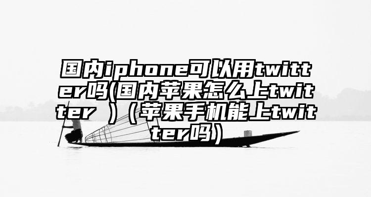 国内iphone可以用twitter吗(国内苹果怎么上twitter )（苹果手机能上twitter吗）