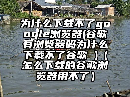 为什么下载不了google浏览器(谷歌有浏览器吗为什么下载不了谷歌 )（怎么下载的谷歌浏览器用不了）
