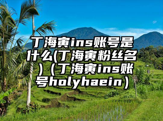 丁海寅ins账号是什么(丁海寅粉丝名 )（丁海寅ins账号holyhaein）