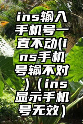 ins输入手机号一直不动(ins手机号输不对 )（ins显示手机号无效）