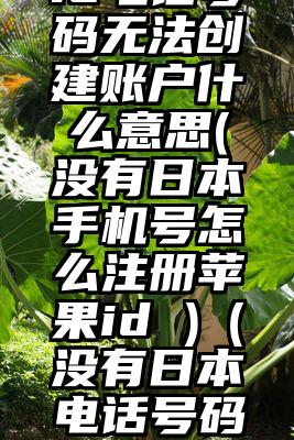 日本苹果id电话号码无法创建账户什么意思(没有日本手机号怎么注册苹果id )（没有日本电话号码如何注册苹果id）