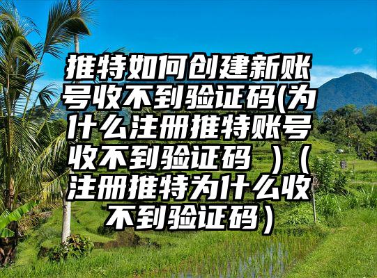 推特如何创建新账号收不到验证码(为什么注册推特账号收不到验证码 )（注册推特为什么收不到验证码）