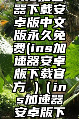 ins加速器下载安卓版中文版永久免费(ins加速器安卓版下载官方 )（ins加速器安卓版下载免费）