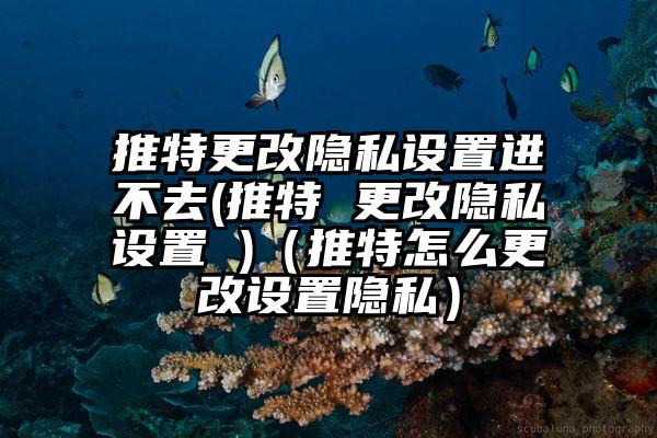推特更改隐私设置进不去(推特 更改隐私设置 )（推特怎么更改设置隐私）