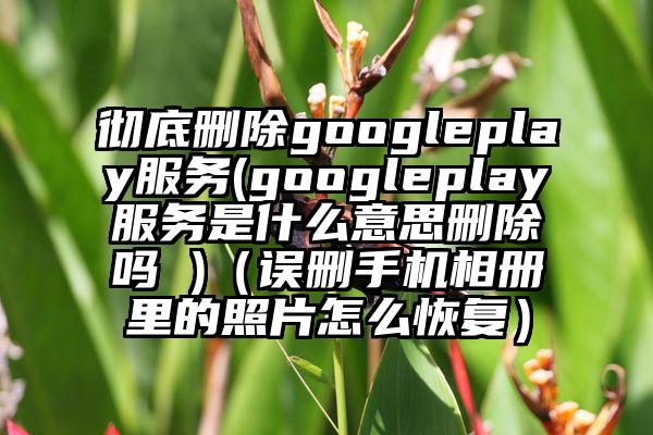 彻底删除googleplay服务(googleplay服务是什么意思删除吗 )(误删手机相册里的照片怎么恢复)