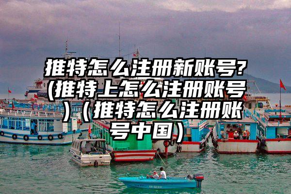 推特怎么注册新账号?(推特上怎么注册账号 )（推特怎么注册账号中国）