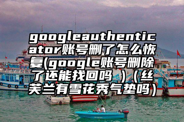 googleauthenticator账号删了怎么恢复(google账号删除了还能找回吗 )(丝芙兰有雪花秀气垫吗)