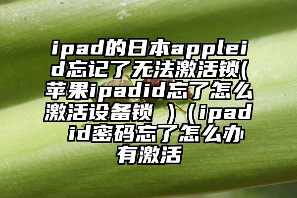 ipad的日本appleid忘记了无法激活锁(苹果ipadid忘了怎么激活设备锁 )（ipad id密码忘了怎么办有激活