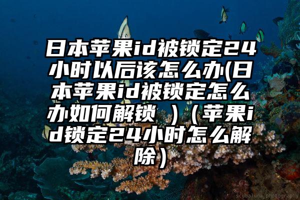 日本苹果id被锁定24小时以后该怎么办(日本苹果id被锁定怎么办如何解锁 )（苹果id锁定24小时怎么解除）
