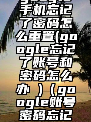 google手机忘记了密码怎么重置(google忘记了账号和密码怎么办 )（google账号密码忘记了怎么办）
