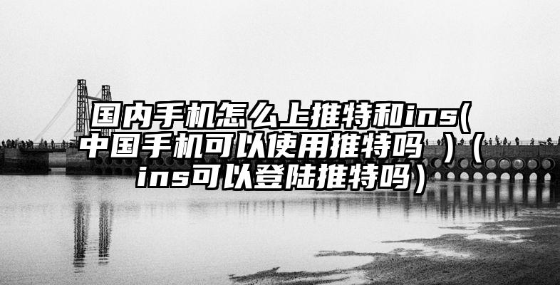 国内手机怎么上推特和ins(中国手机可以使用推特吗 )（ins可以登陆推特吗）