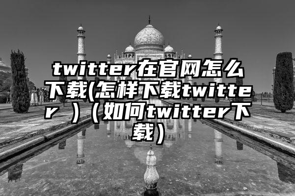 twitter在官网怎么下载(怎样下载twitter )（如何twitter下载）