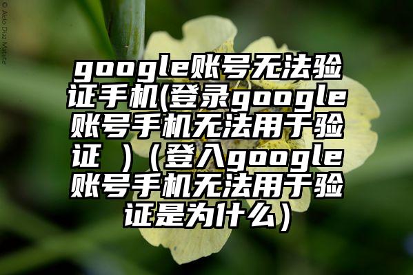 google账号无法验证手机(登录google账号手机无法用于验证 )(登入google账号手机无法用于验证是为什么)