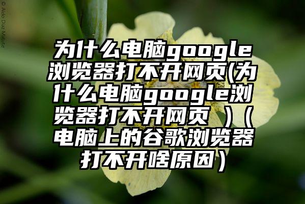 为什么电脑google浏览器打不开网页(为什么电脑google浏览器打不开网页 )（电脑上的谷歌浏览器打不开啥原因）